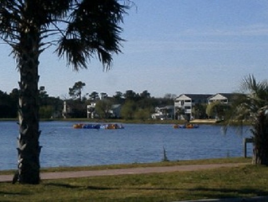 Paddle Boat Rentals